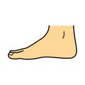 Bare foot, side view, illustration Royalty Free Stock Photo